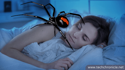 Dreaming of Spiders Spiritual Meaning